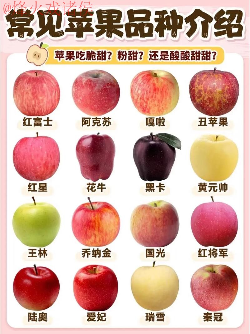 世界杯盘口苹果热门推荐解析与分析